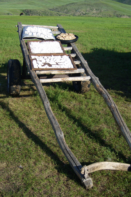 Dried curd (aaruul)<br/>near Hanuin gol