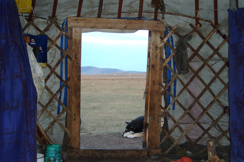 Looking outside
