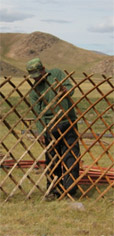 Erecting the yurt walls