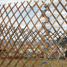 Erecting the yurt walls