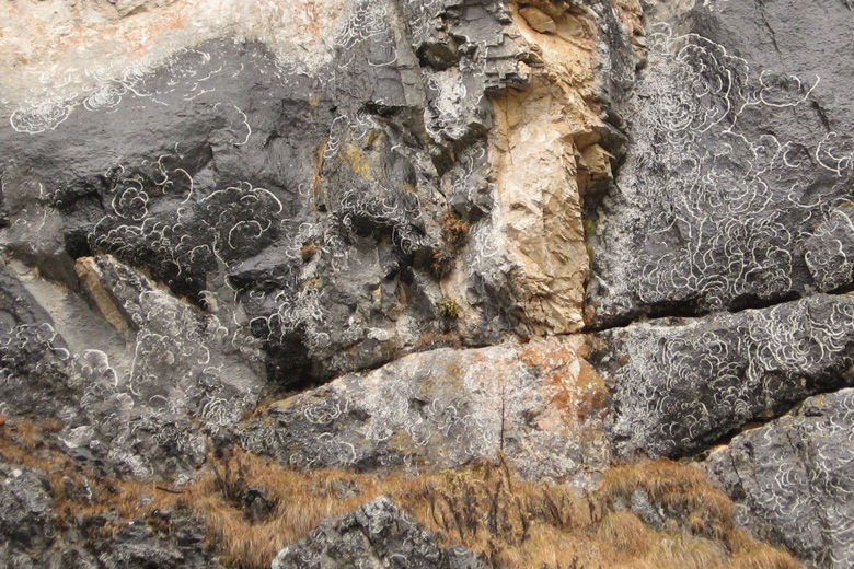 Patterns on a rock near Hövsgöl nuur 