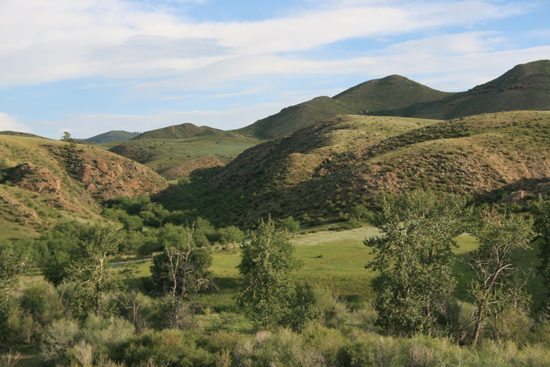 Near Hanuin gol (Bulgan) 