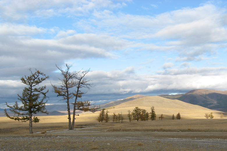 Ein kalter Tag bei Alag-Erdene