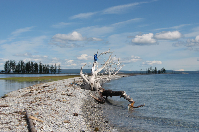 Tree with hadag 