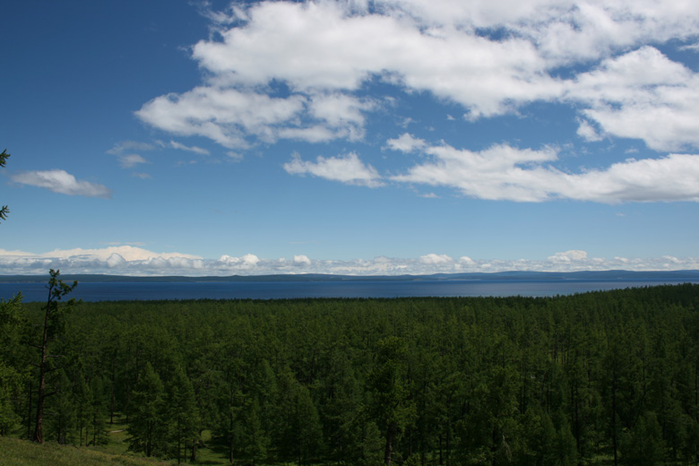 Wälder am Huvsgul nuur 