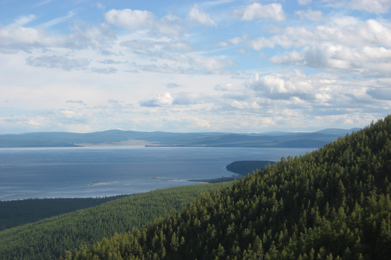 Forest near Hövsgöl nuur 