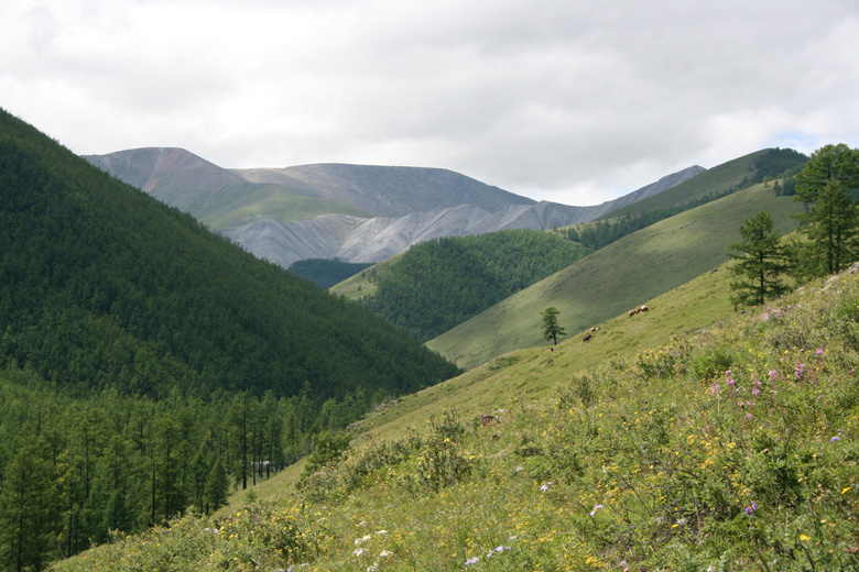 A valley near Ih uul (2008) 