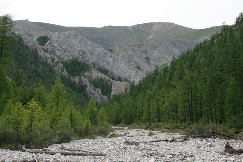 A valley near Ih uul 