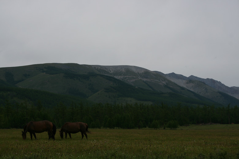 Evening near Chuchu uul (2008) 