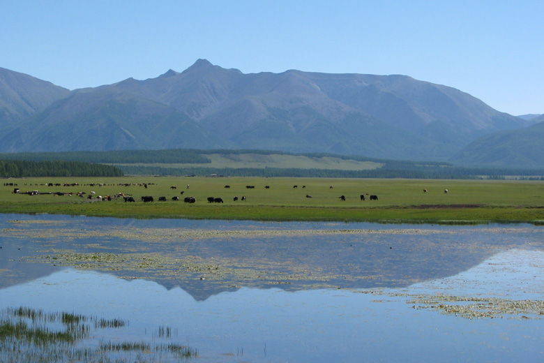 Tsetsegt nuur, north of Renchinlhümbe 