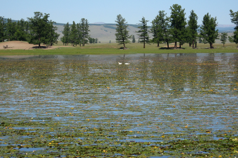 Tsetsegt nuur, north of Renchinlhumbe 